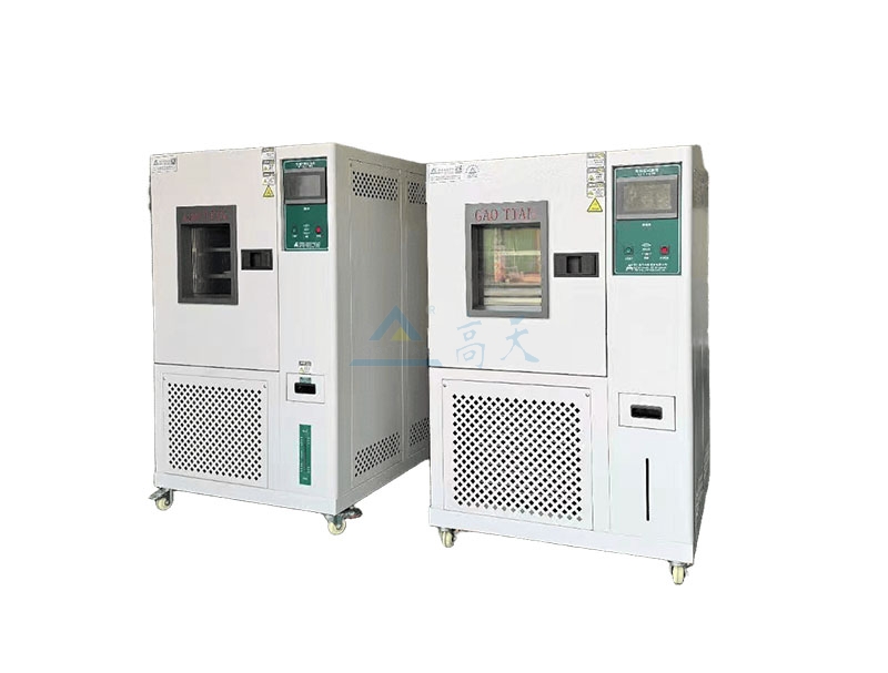 恒温恒湿蜜桃视频WWW在线观看