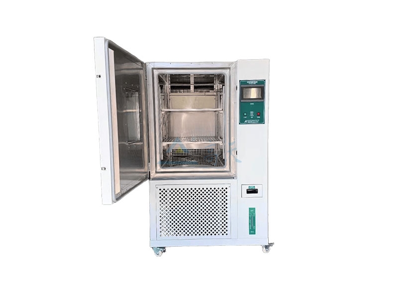 恒温恒湿蜜桃视频WWW在线观看